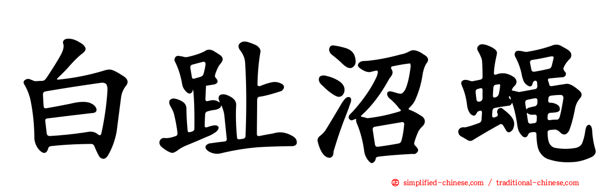 白趾沼蝇