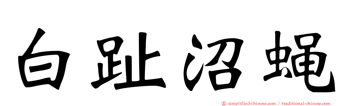 白趾沼蝇