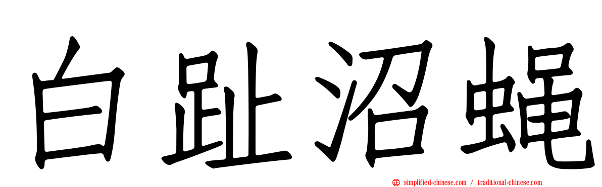 白趾沼蝇