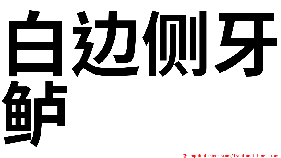 白边侧牙鲈