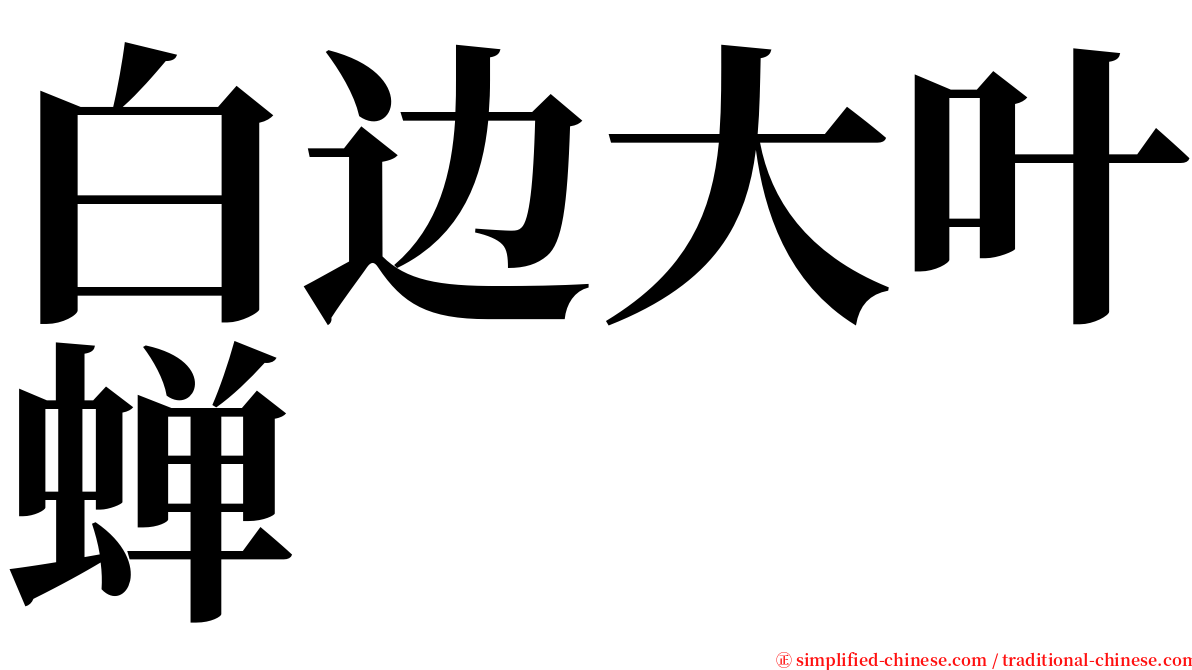 白边大叶蝉 serif font