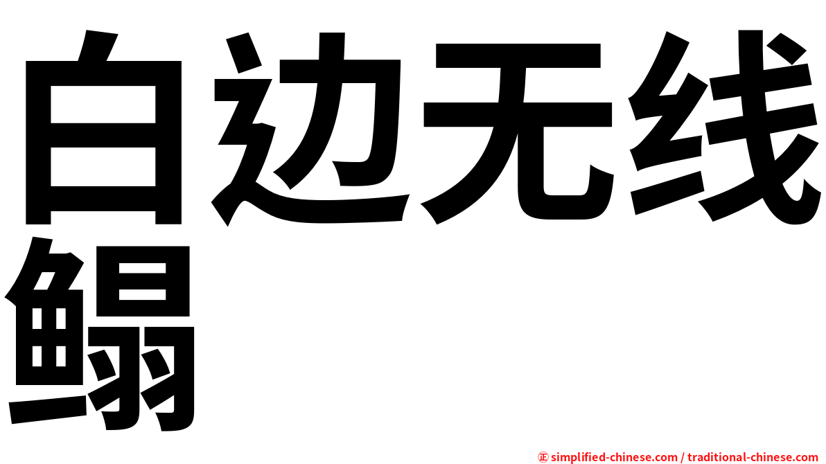 白边无线鳎