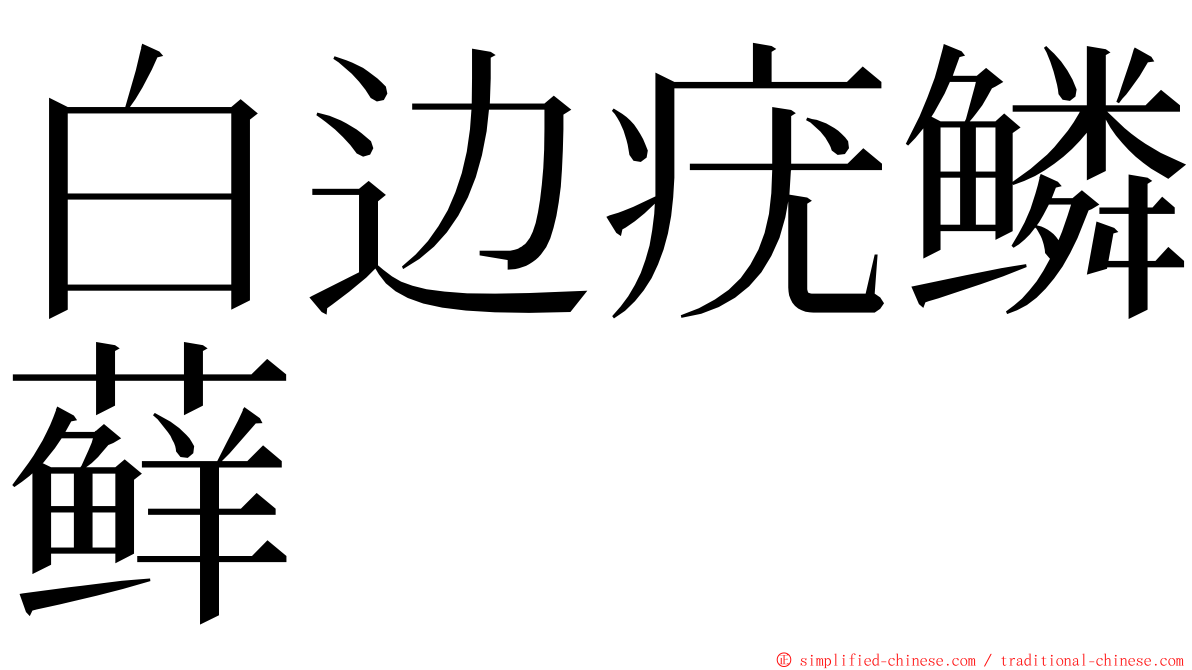 白边疣鳞藓 ming font