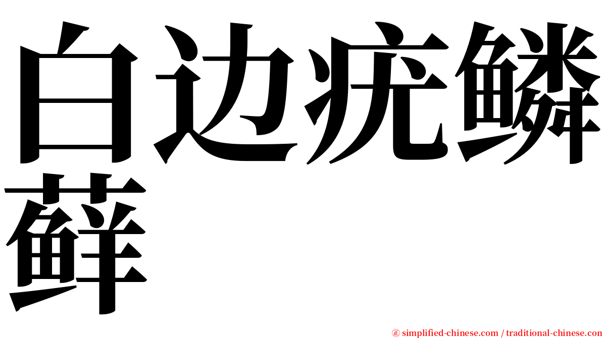 白边疣鳞藓 serif font