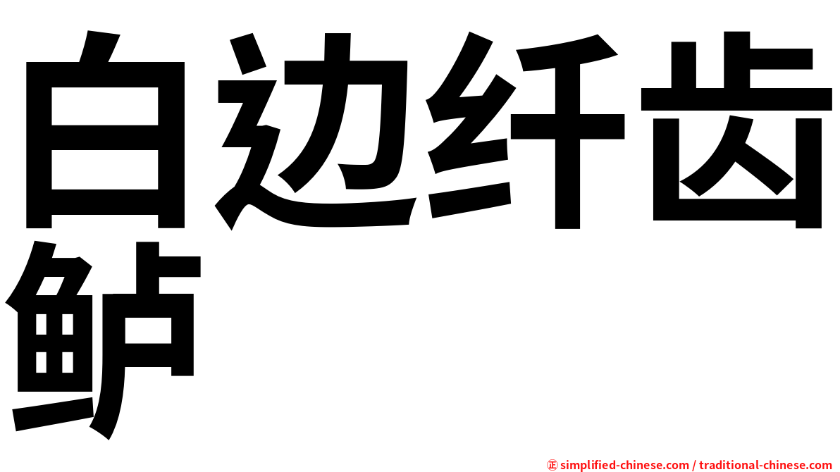 白边纤齿鲈