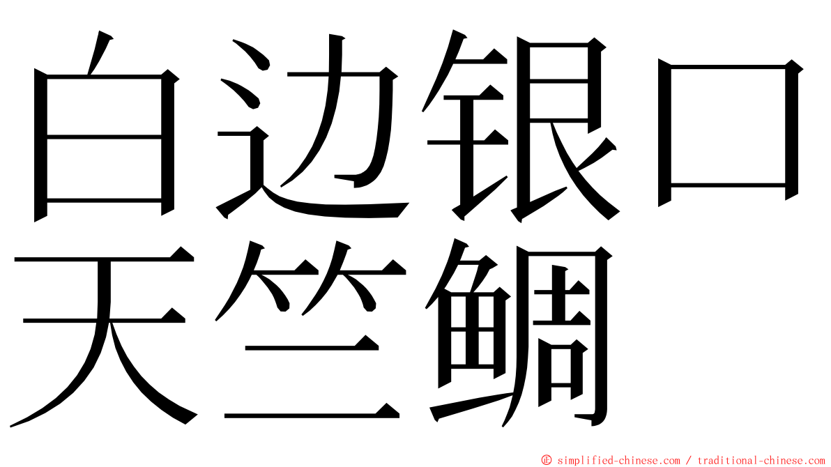 白边银口天竺鲷 ming font