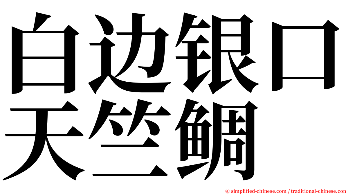 白边银口天竺鲷 serif font