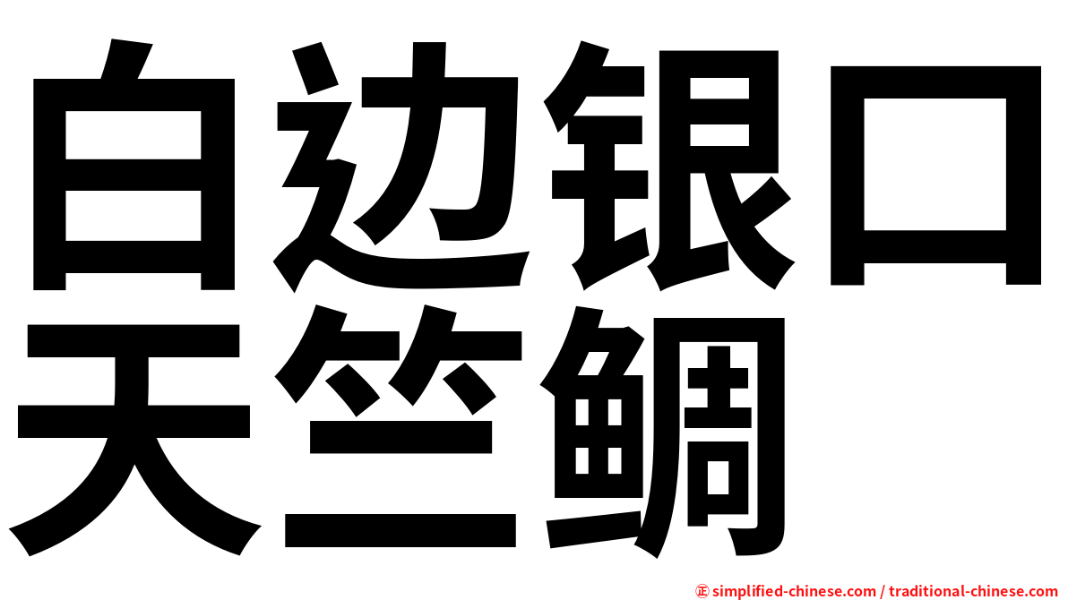 白边银口天竺鲷