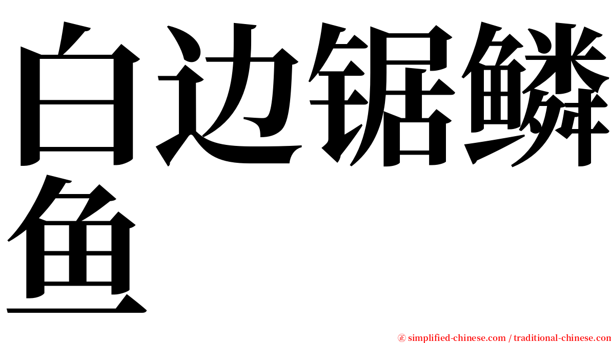 白边锯鳞鱼 serif font