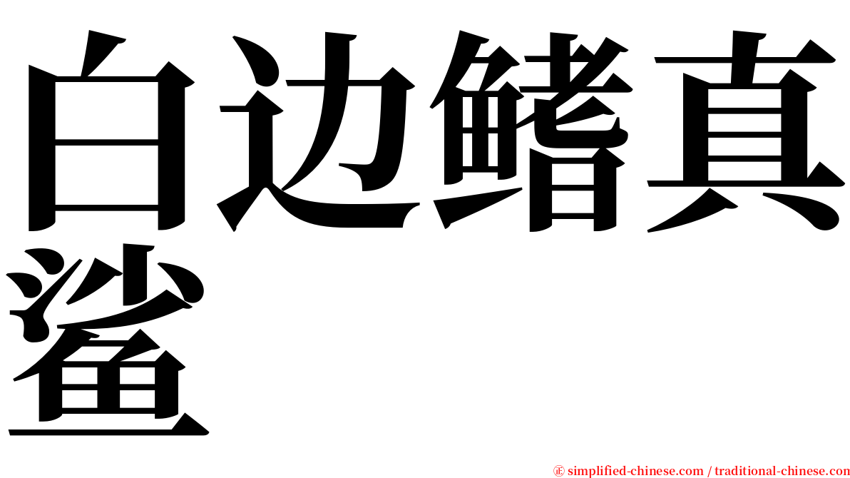 白边鳍真鲨 serif font