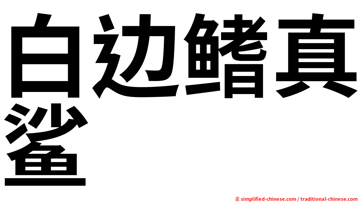 白边鳍真鲨