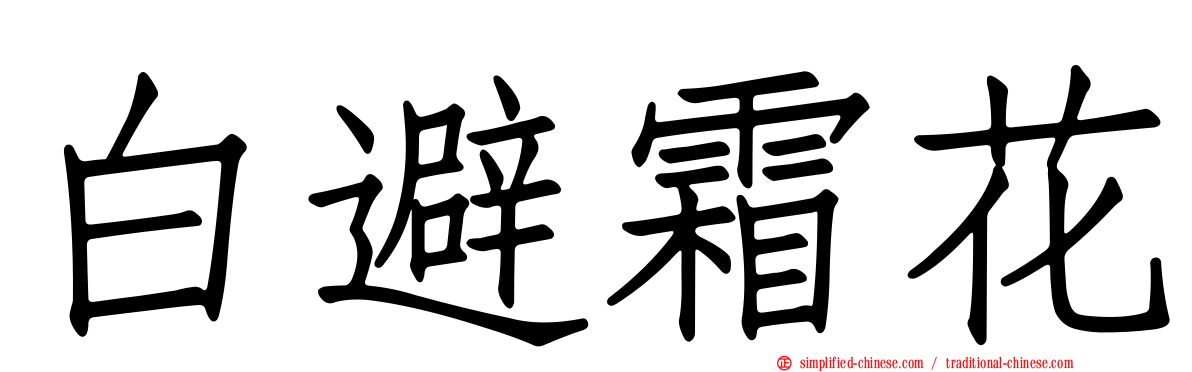白避霜花