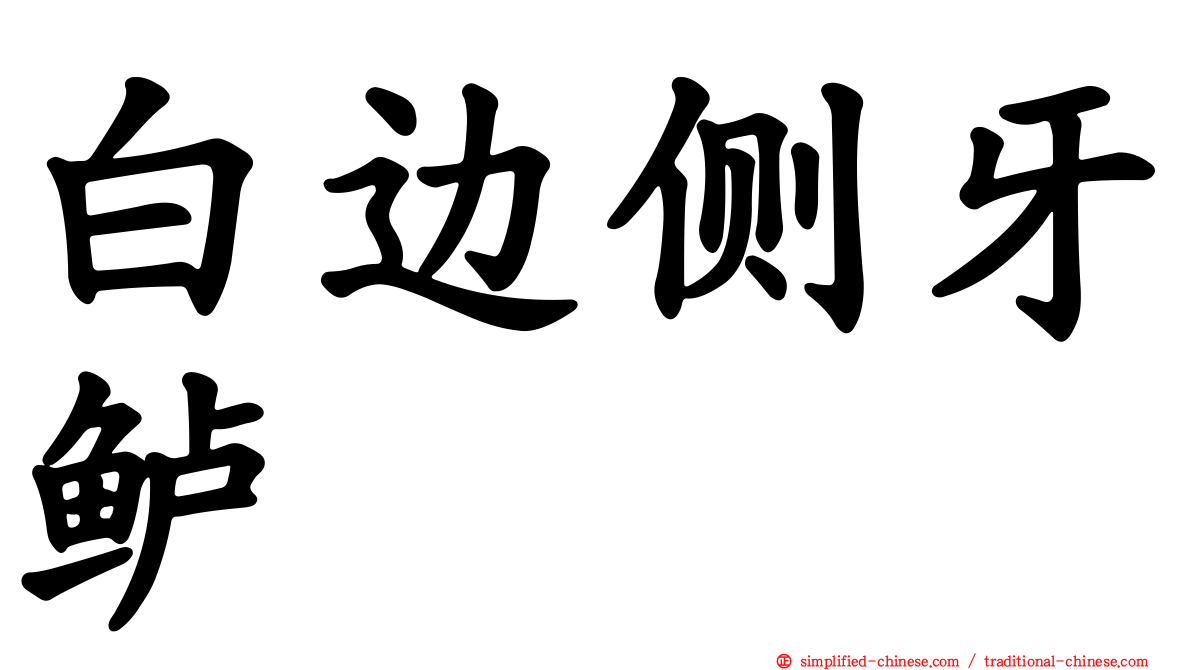白边侧牙鲈