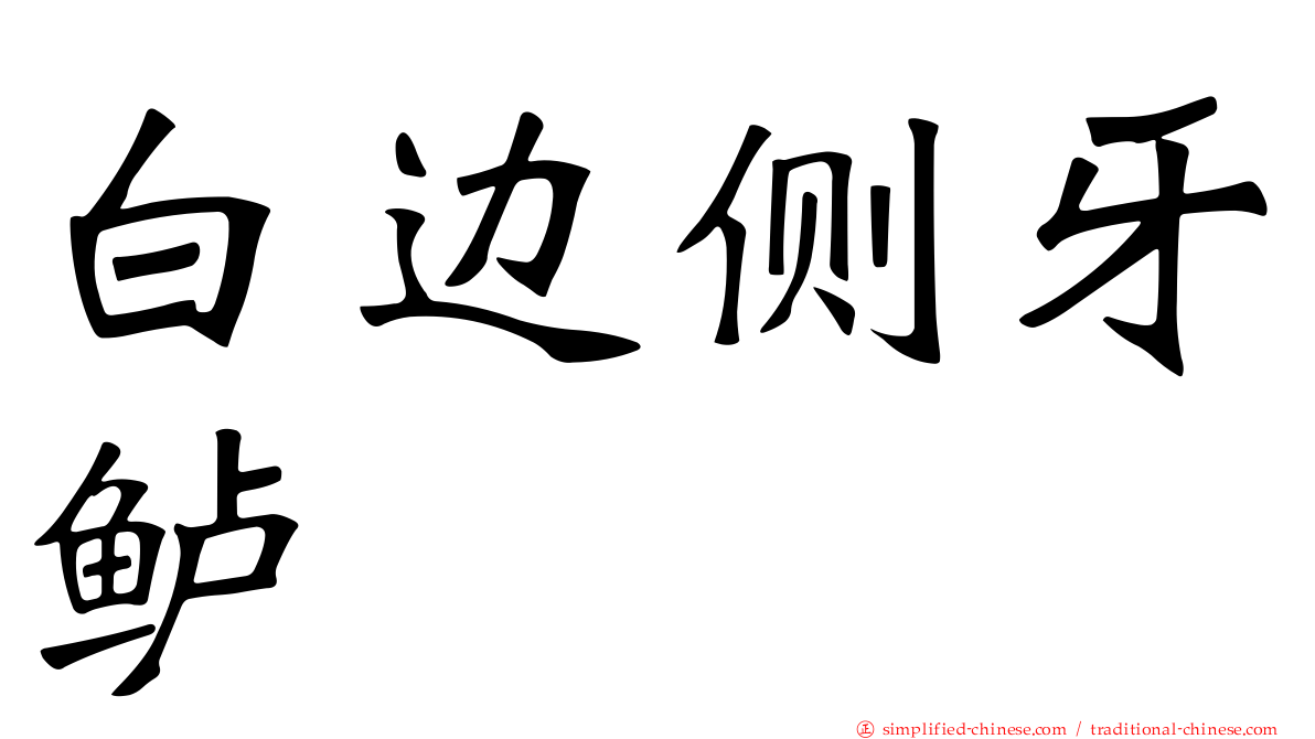 白边侧牙鲈