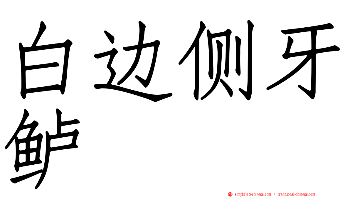 白边侧牙鲈