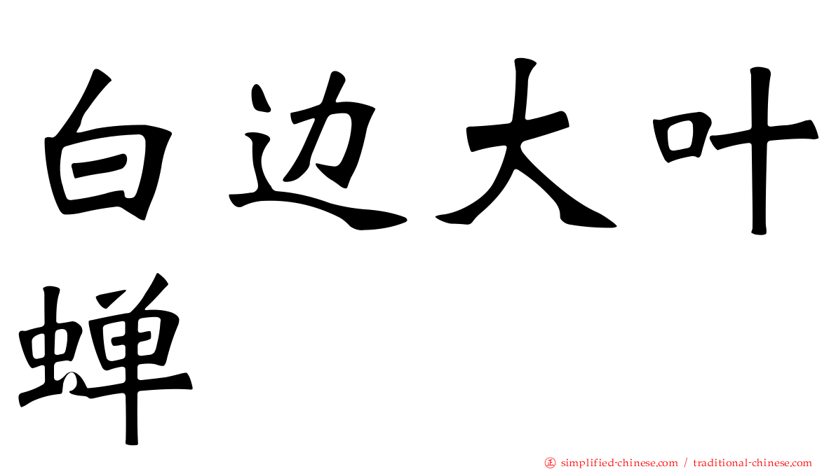 白边大叶蝉