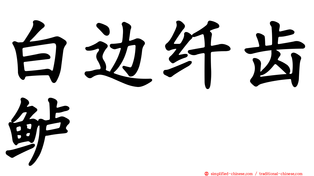 白边纤齿鲈
