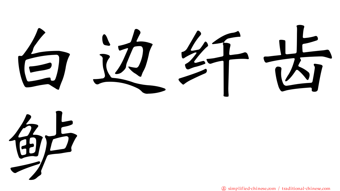 白边纤齿鲈