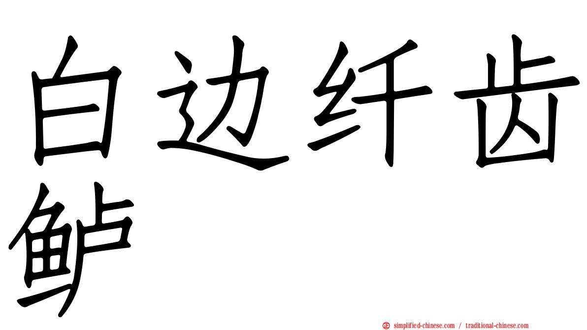 白边纤齿鲈