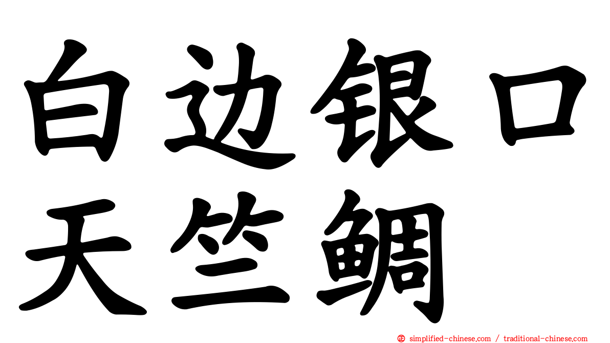 白边银口天竺鲷