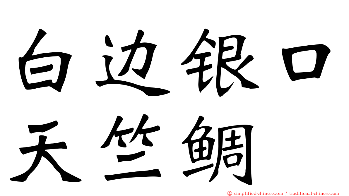 白边银口天竺鲷