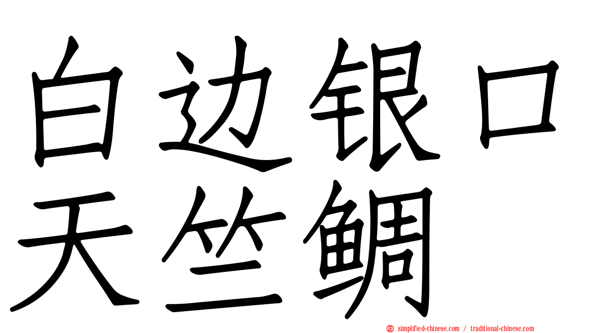 白边银口天竺鲷