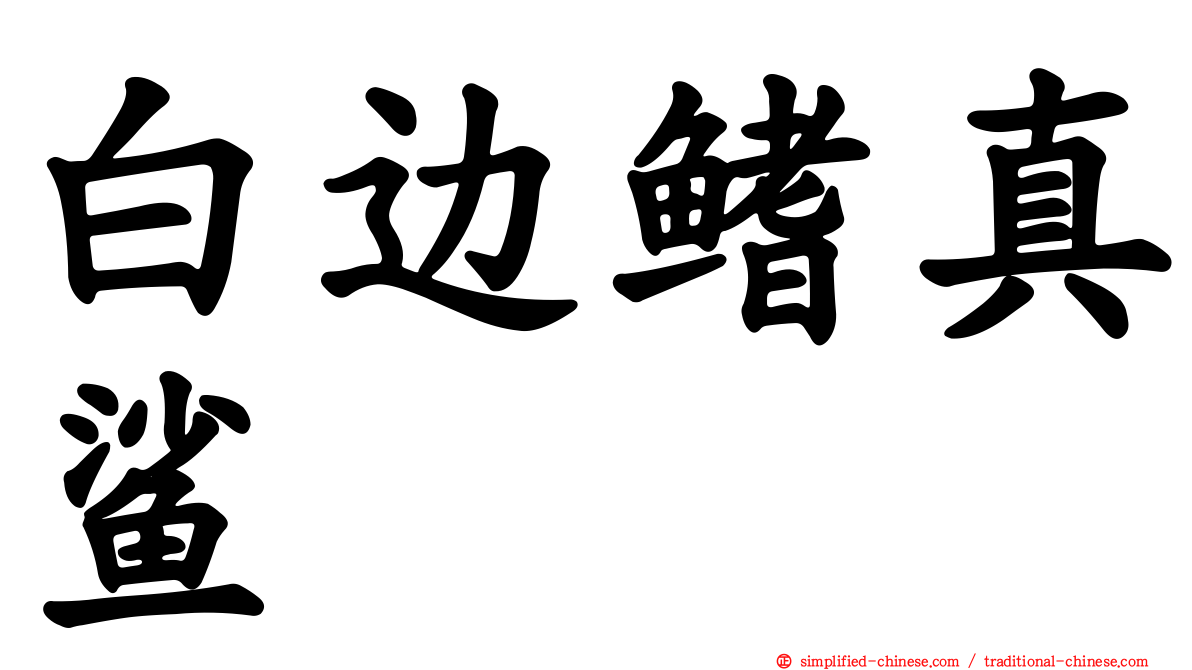 白边鳍真鲨