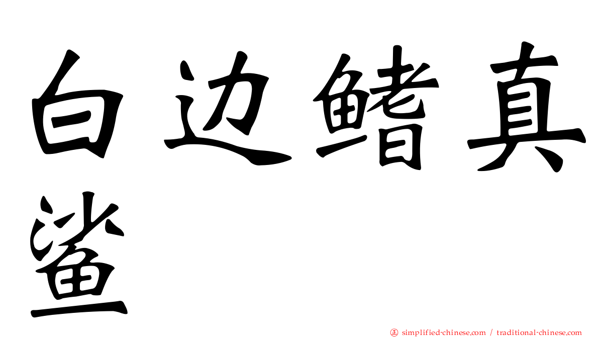 白边鳍真鲨