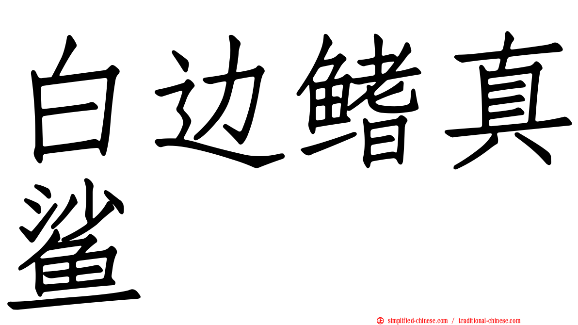 白边鳍真鲨