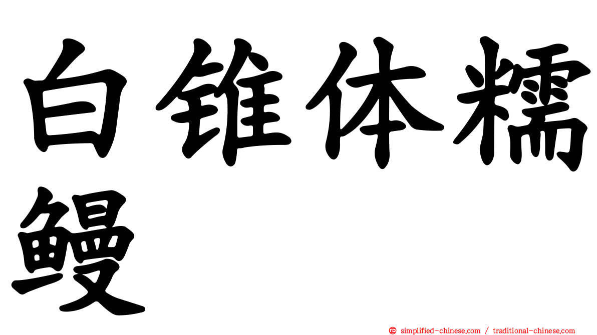 白锥体糯鳗