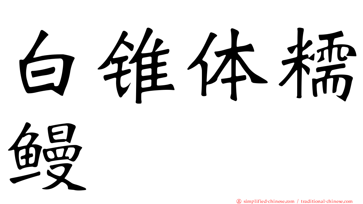 白锥体糯鳗