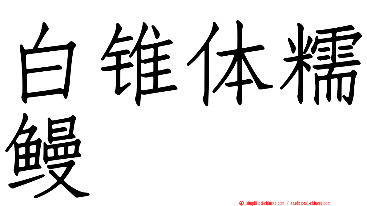 白锥体糯鳗