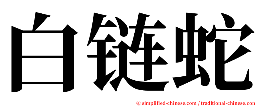 白链蛇 serif font