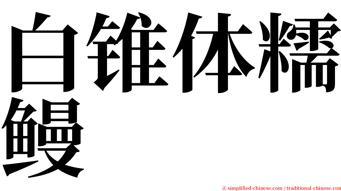 白锥体糯鳗 serif font