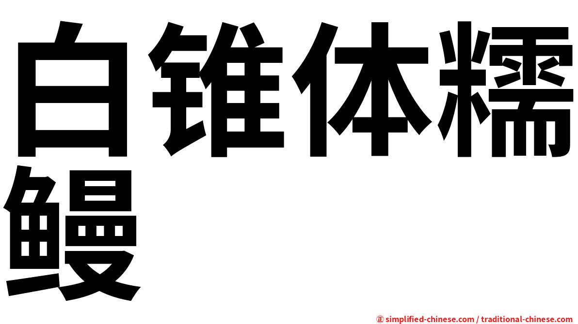 白锥体糯鳗