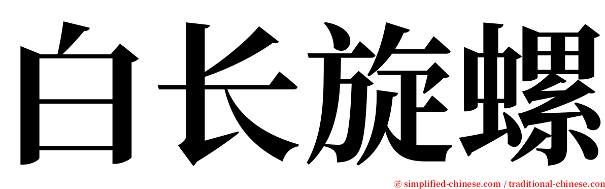 白长旋螺 serif font