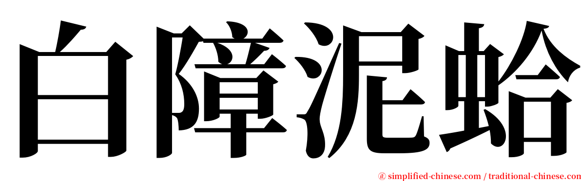 白障泥蛤 serif font