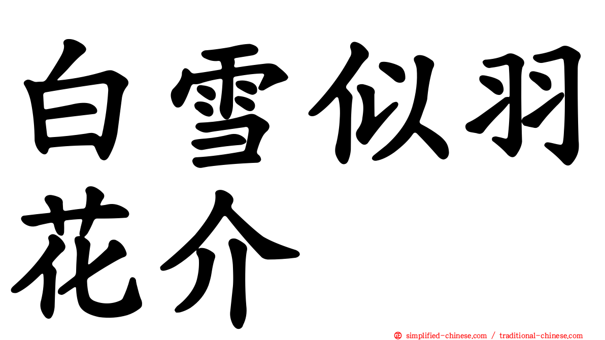 白雪似羽花介