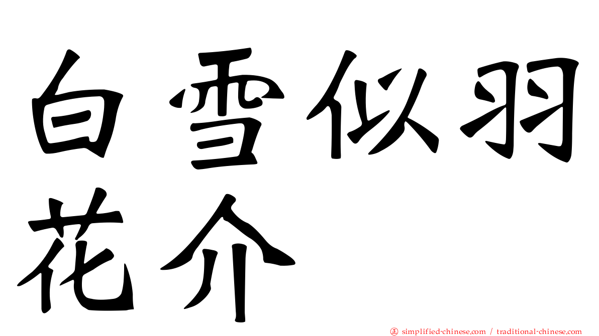 白雪似羽花介