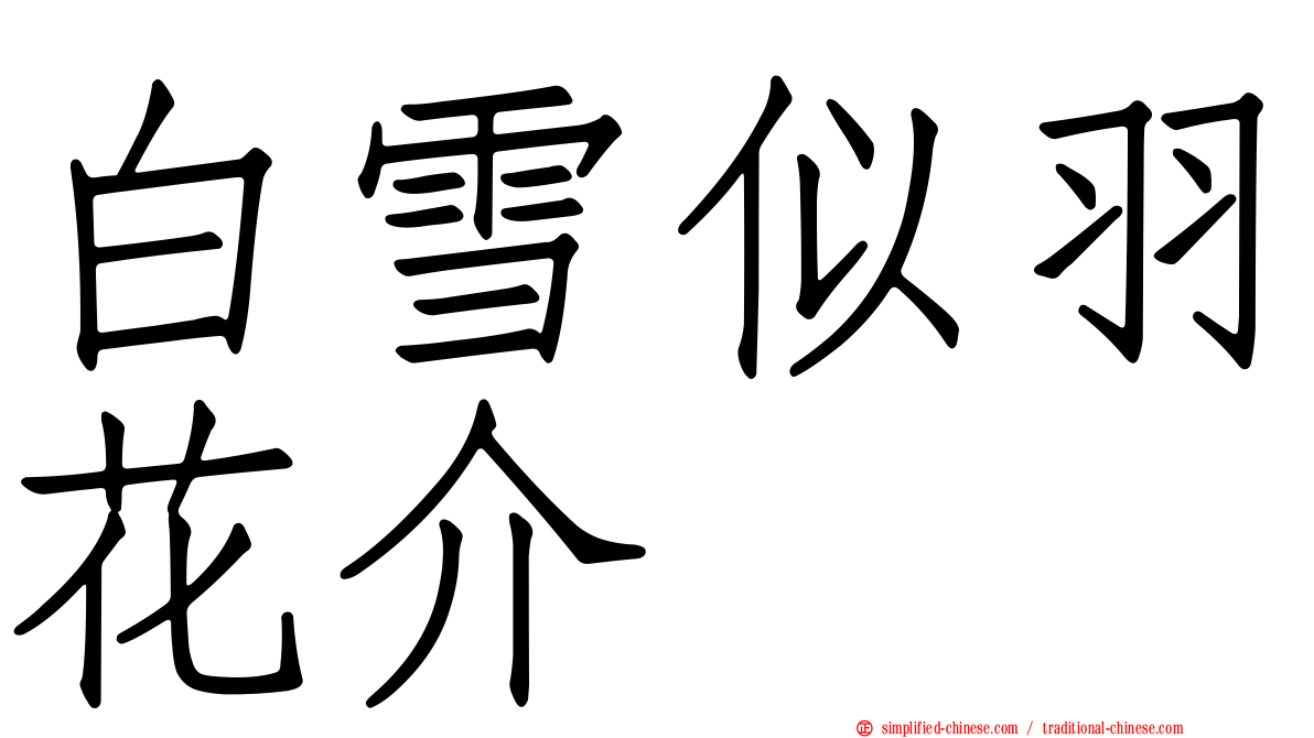 白雪似羽花介