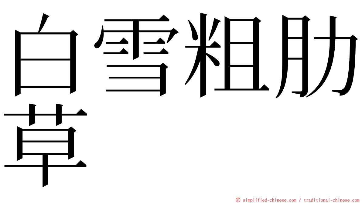 白雪粗肋草 ming font