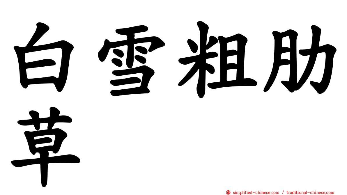 白雪粗肋草