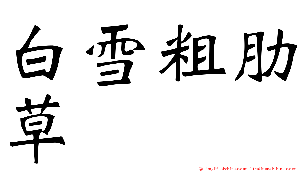 白雪粗肋草