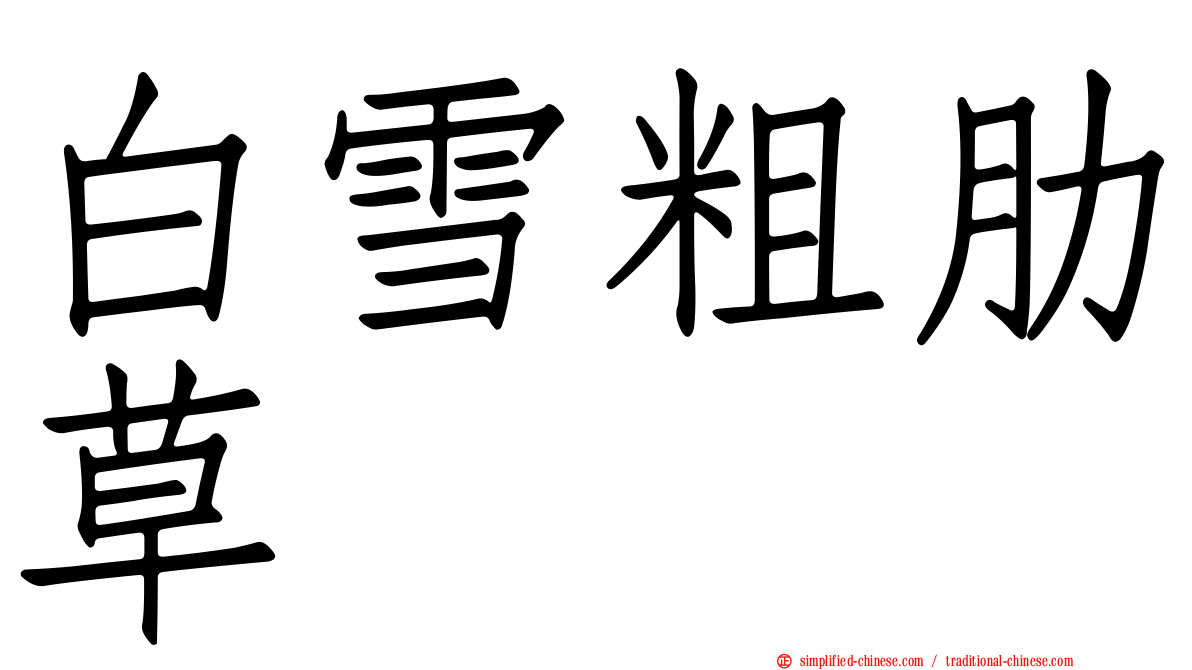 白雪粗肋草
