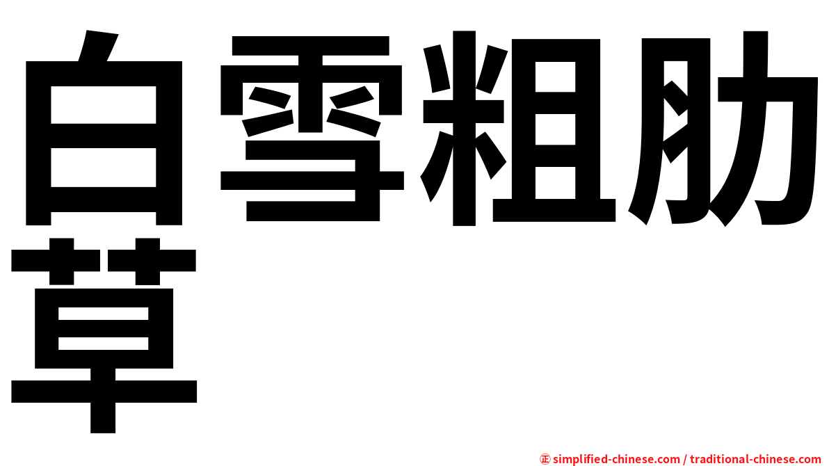 白雪粗肋草