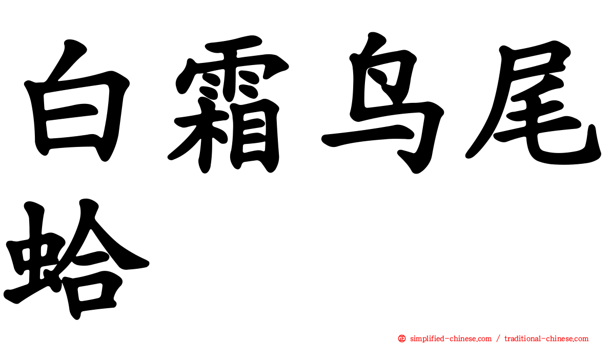 白霜鸟尾蛤