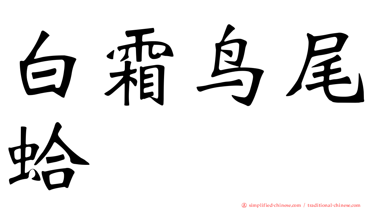 白霜鸟尾蛤