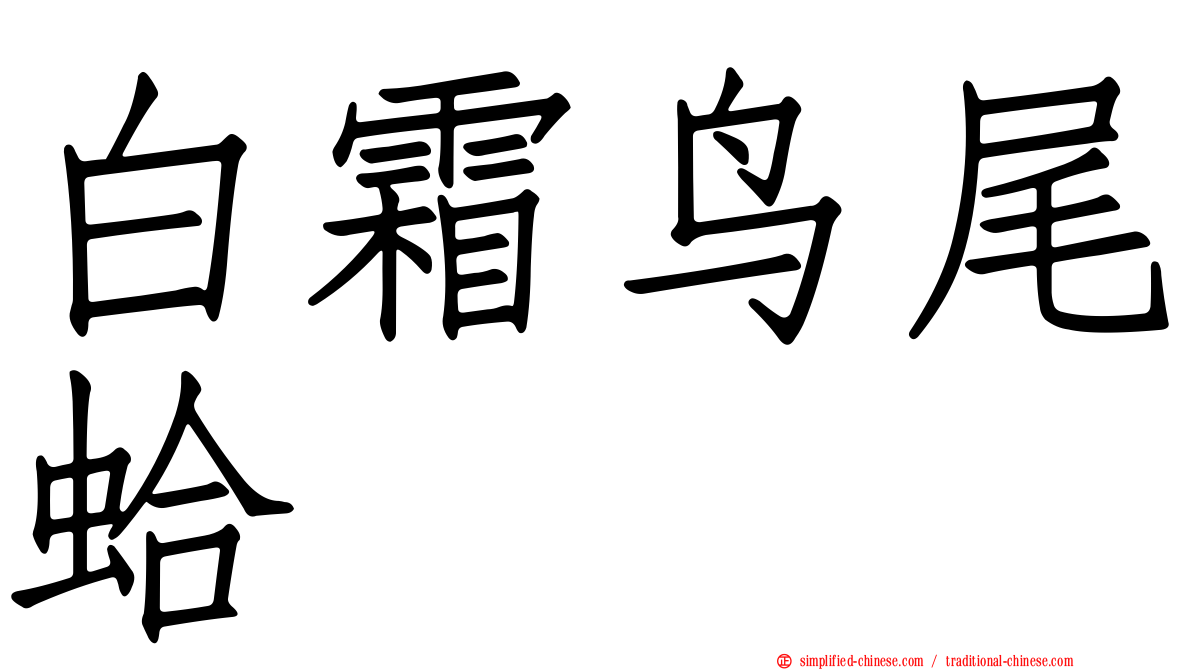 白霜鸟尾蛤
