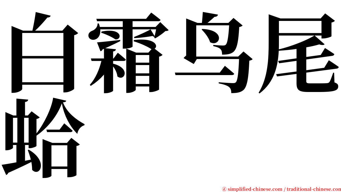 白霜鸟尾蛤 serif font