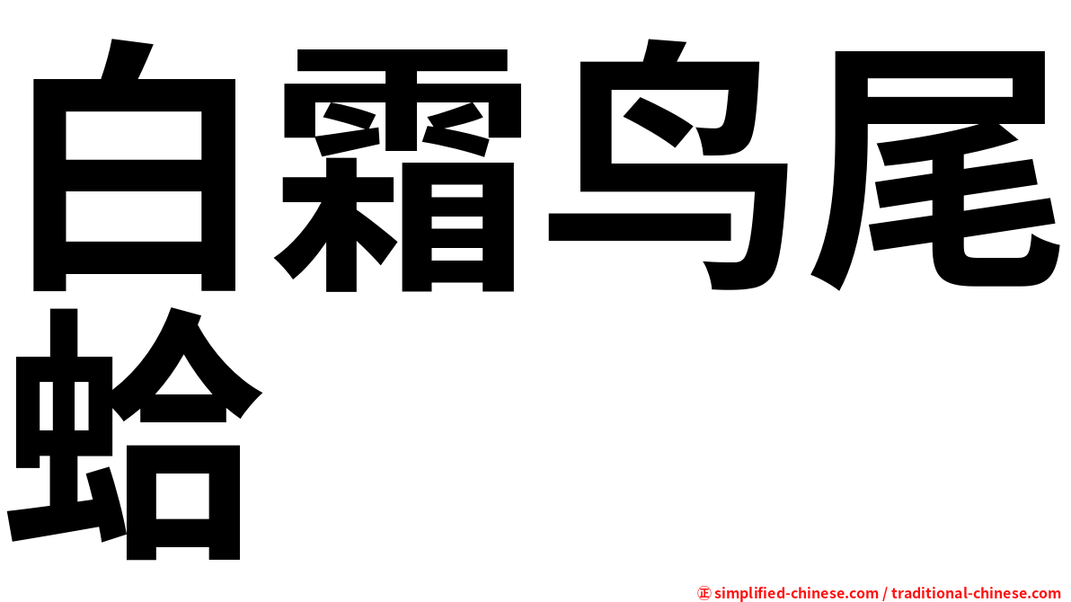 白霜鸟尾蛤